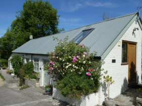 Bracken in Converted Barn